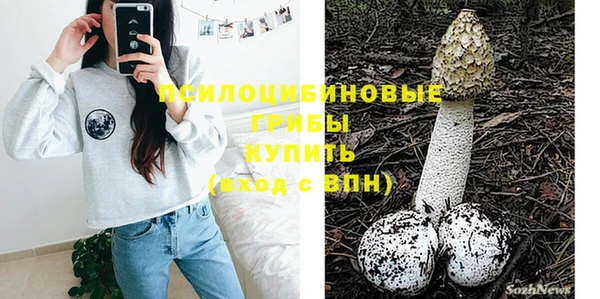 дурь Белокуриха