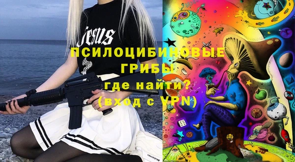 дурь Белокуриха